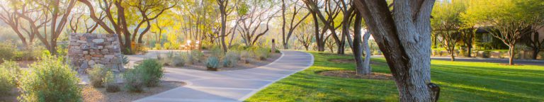 Community Council - DC Ranch